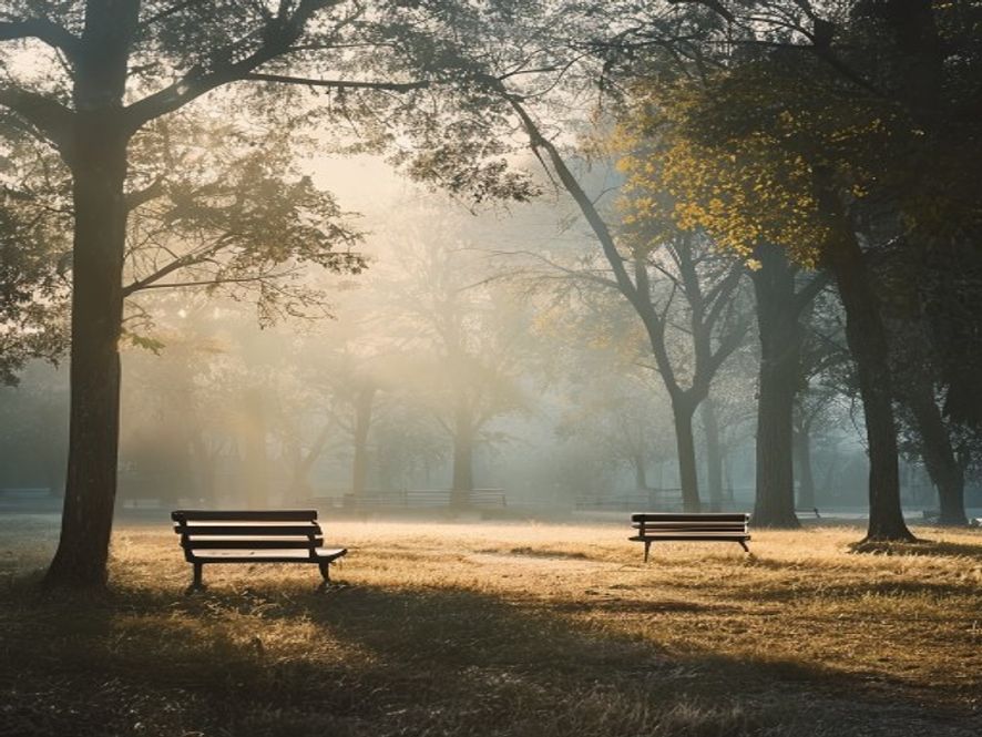 Peaceful morning walk through a park with golden sunlight filtering through trees and mist on the grass